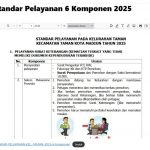 Standar Pelayanan 6 Komponen 2025