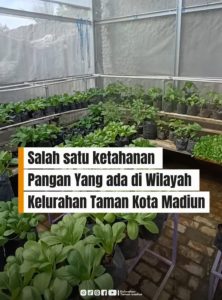SALAH SATU KETAHANAN PANGAN YANG ADA DI WILAYAH KELURAHAN TAMAN KOTA MADIUN